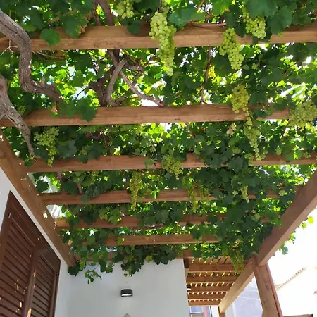 Brezza Di Stagnone * Birgi Vecchi