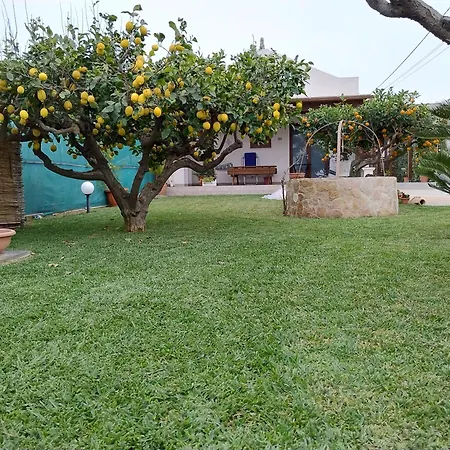 Brezza Di Stagnone Apartmán Birgi Vecchi