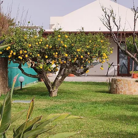 Brezza Di Stagnone *