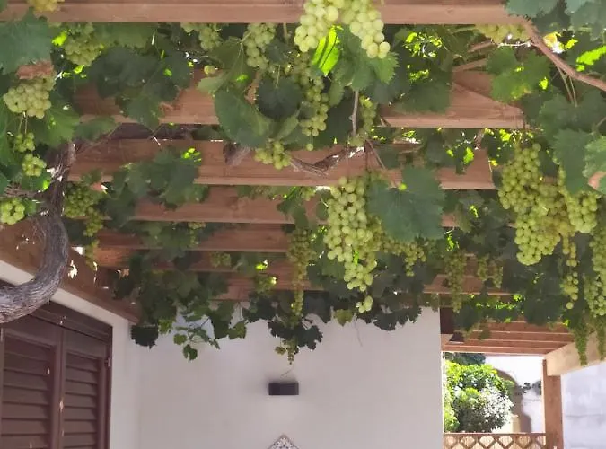 Brezza Di Stagnone Birgi Vecchi