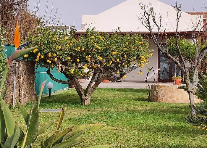 Brezza Di Stagnone *