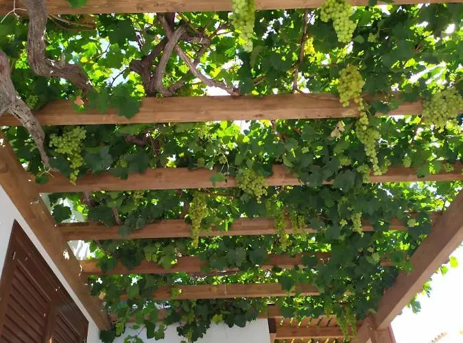 Brezza Di Stagnone * 伯吉维奇