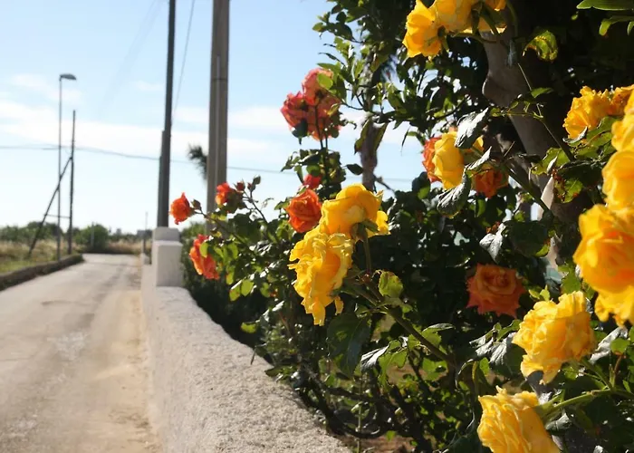 公寓 Brezza Di Stagnone 伯吉维奇